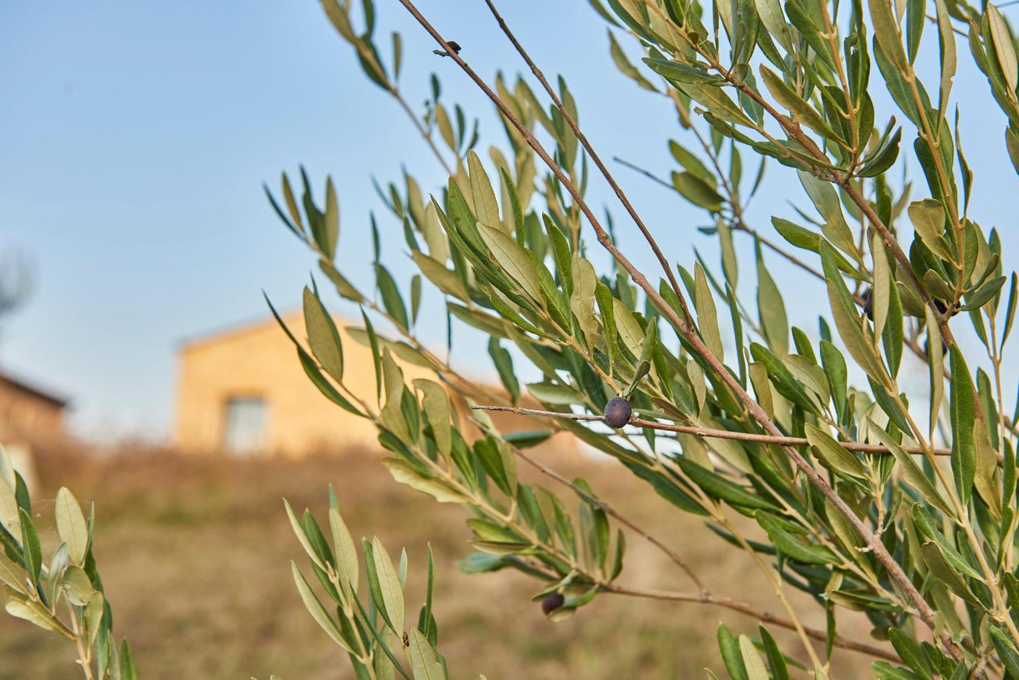 Agriturismo Prato Del Re Prignano sulla Secchia Exteriör bild