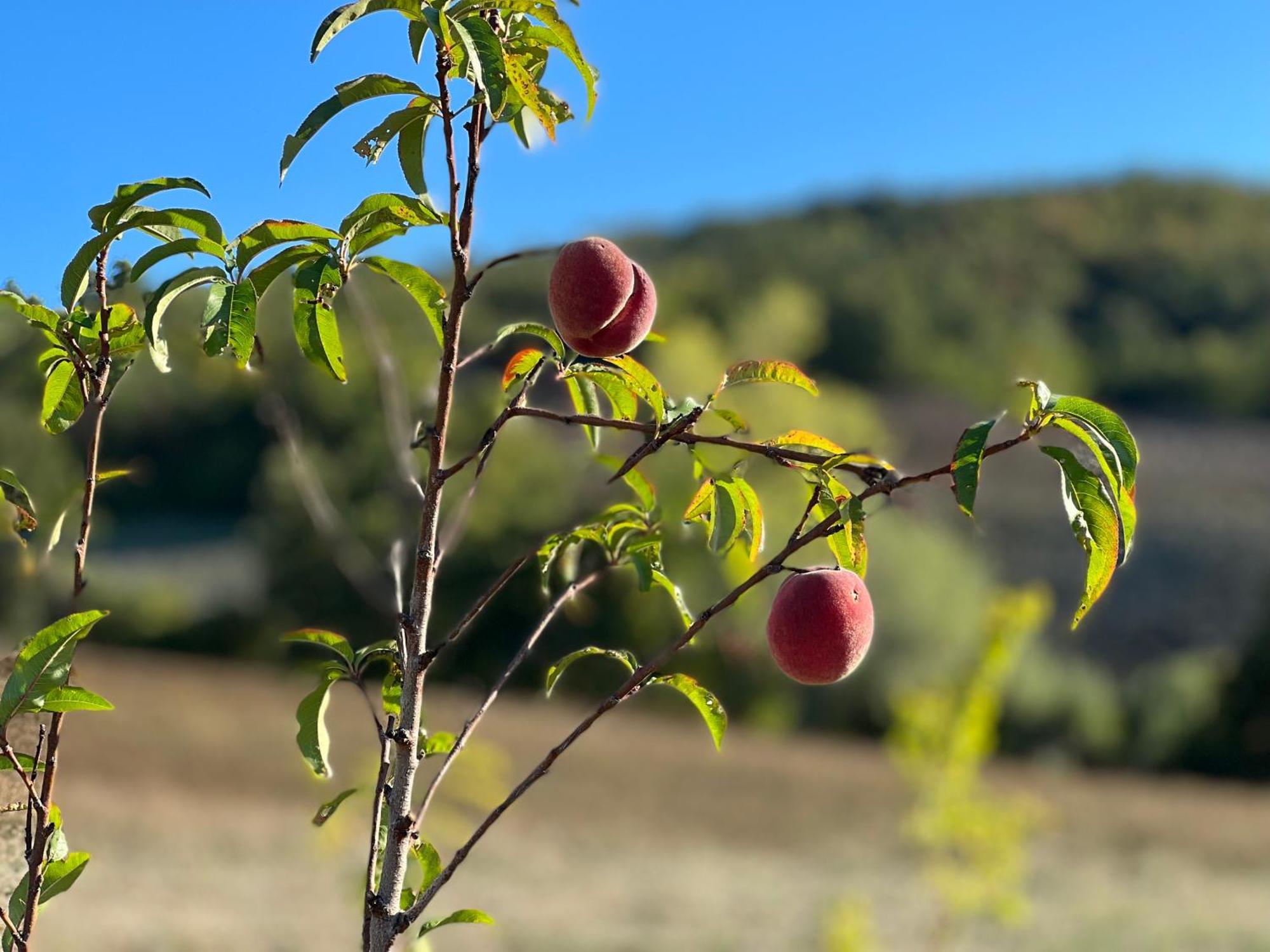 Agriturismo Prato Del Re Prignano sulla Secchia Exteriör bild